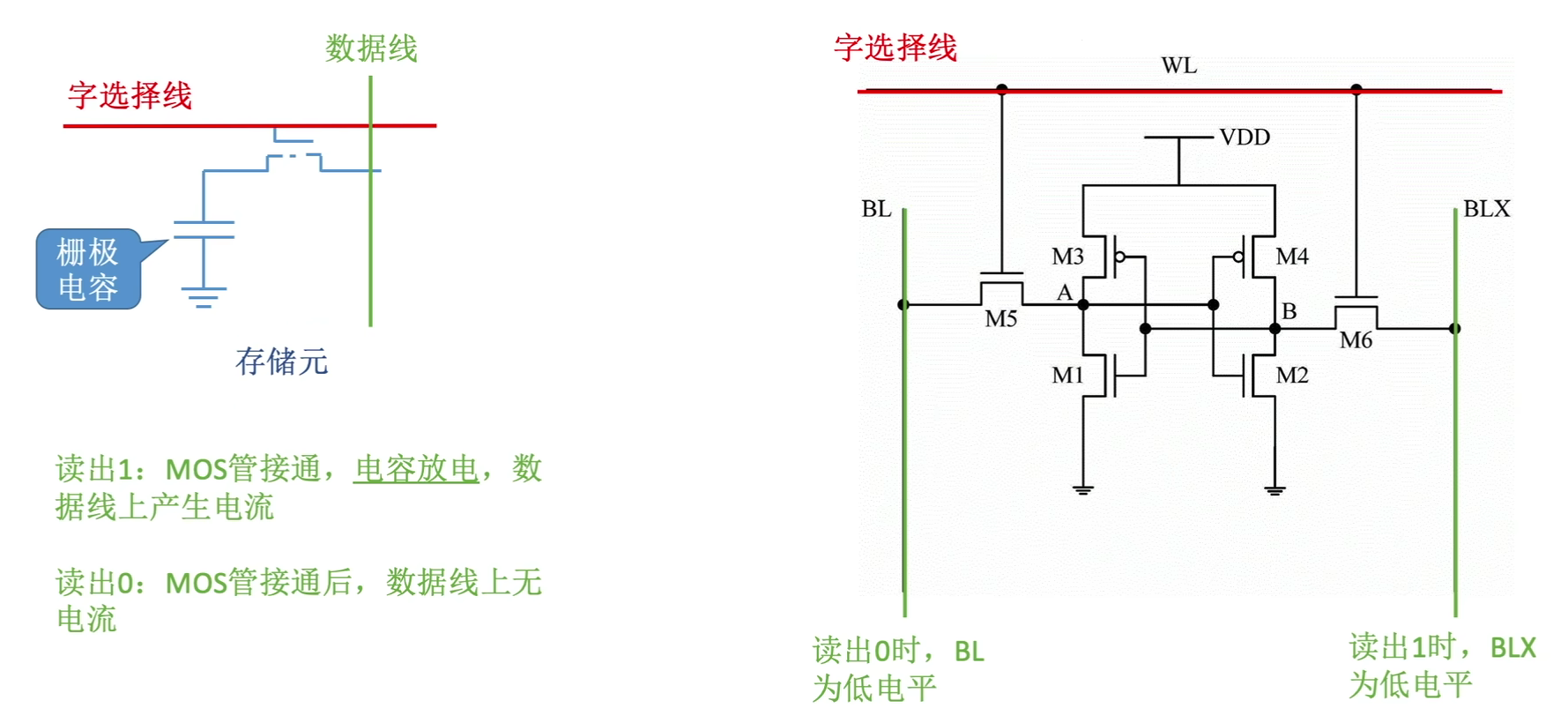 image-20240225134448490